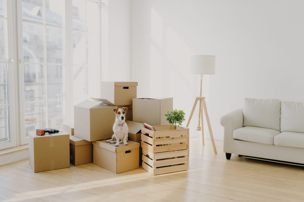 moving boxes