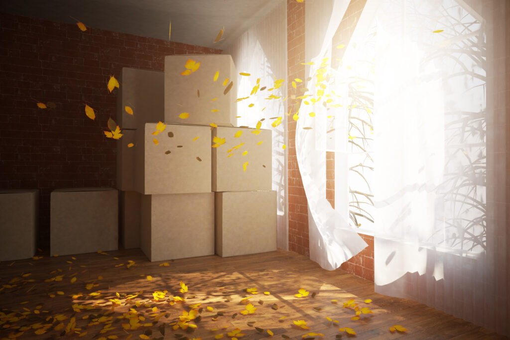 Fall leaves inside house with moving boxes stacked up.