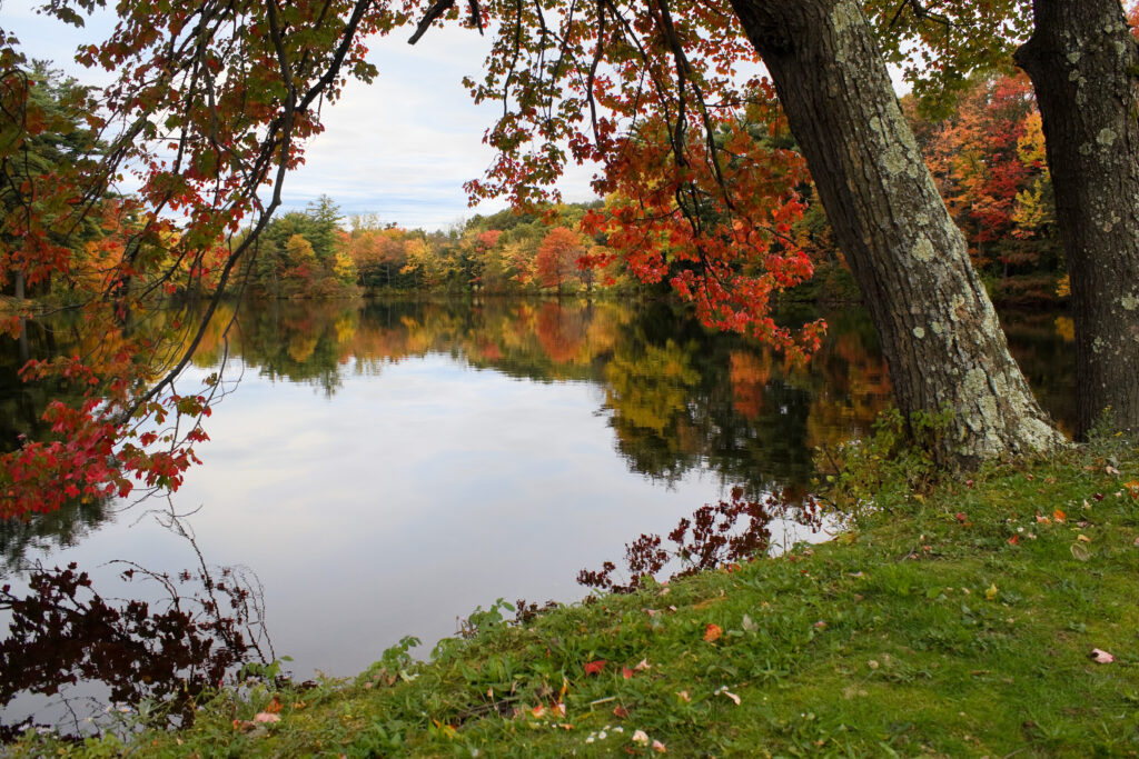 Connecticut state park with fall foliage.